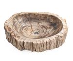 Lavabo de madera fosilizada del Cretacico