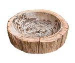 Impresionante lavabo de  madera fosilizada del Cretácico